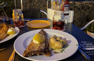 Captura de pantalla 2026-02-03 175321